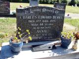 image of grave number 312416